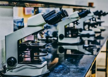 Forensic applications of DNA methylation analysis