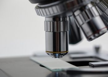 Necesidad de técnicas de confirmación especialmente en el estudio de muestras biológicas putrefactas