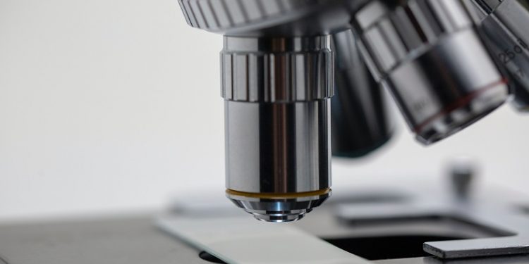 Necesidad de técnicas de confirmación especialmente en el estudio de muestras biológicas putrefactas