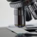 Necesidad de técnicas de confirmación especialmente en el estudio de muestras biológicas putrefactas