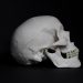 Identificación mediante comparativa morfo geométrica y euclidiana aplicada sobre tacs craneales de origen ante y postmortem