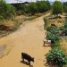 El río Rocha a su paso por Sacaba, en noviembre de 2021