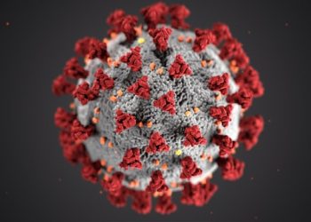 Contagio por Sars-Cov-2 en el Ámbito Sanitario y Sociosanitario