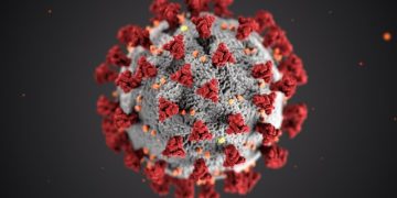 Contagio por Sars-Cov-2 en el Ámbito Sanitario y Sociosanitario