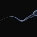 Conservación de espermatozoides en condiciones de deshidratación en soportes sólidos