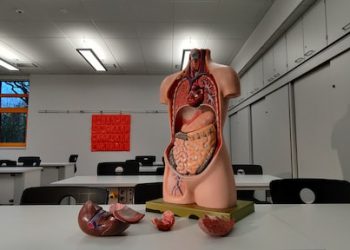 Artefactos producidos en el cadáver por los procesos de donación de órganos y tejidos