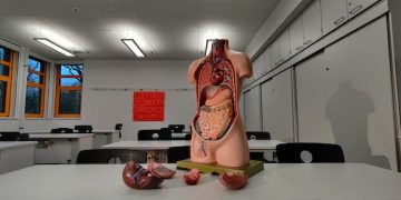 Artefactos producidos en el cadáver por los procesos de donación de órganos y tejidos
