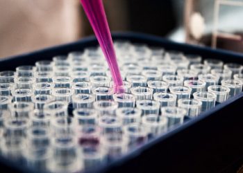 Importancia de los ejercicios interlaboratorios en muestras forenses