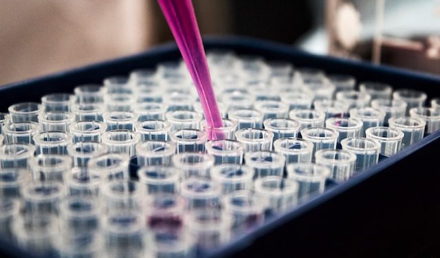 Importancia de los ejercicios interlaboratorios en muestras forenses